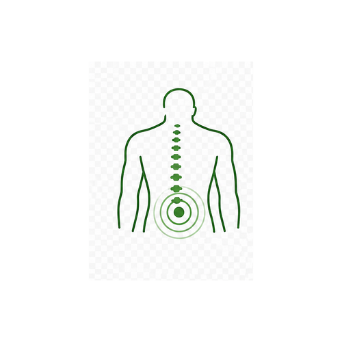 Back Pain