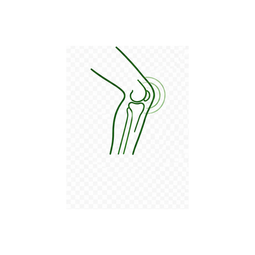 Knee Pain
